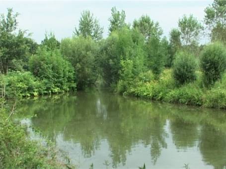 Museum Insel Hombroich : Auen- und Parklandschaft